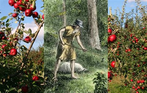  Johnny Appleseed: Kuinka legendaarinen hedelmätarmoilija istutti Yhdysvaltojen sydämeen omenapuita ja tarinaa?